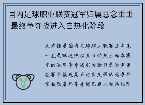 国内足球职业联赛冠军归属悬念重重 最终争夺战进入白热化阶段