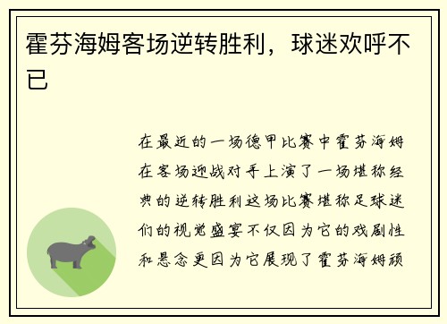 霍芬海姆客场逆转胜利，球迷欢呼不已