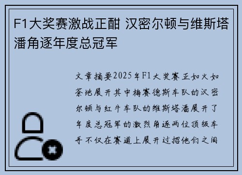 F1大奖赛激战正酣 汉密尔顿与维斯塔潘角逐年度总冠军